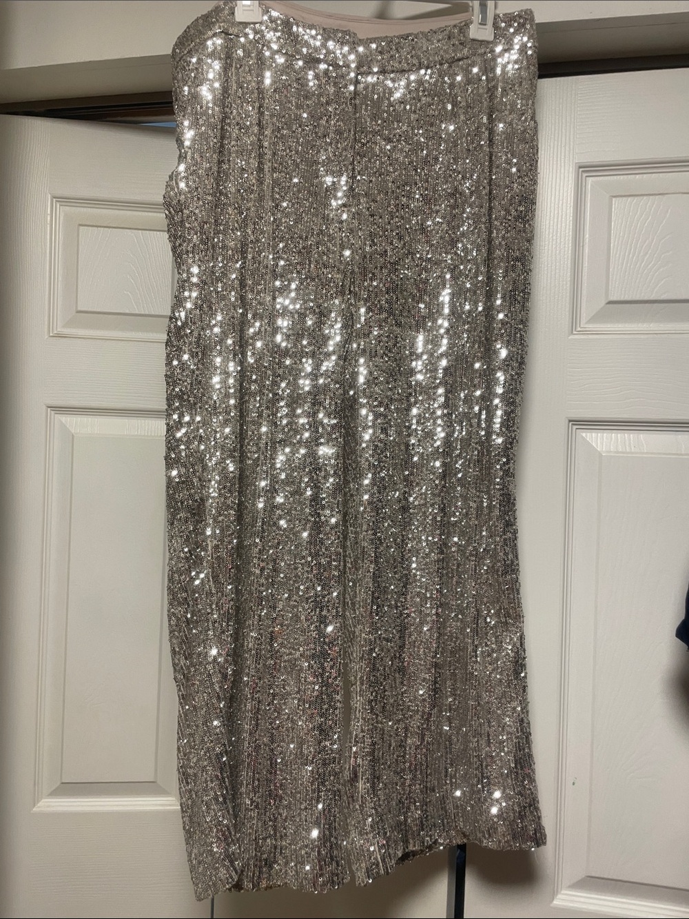 Express Silver Sequin Cropped Pants